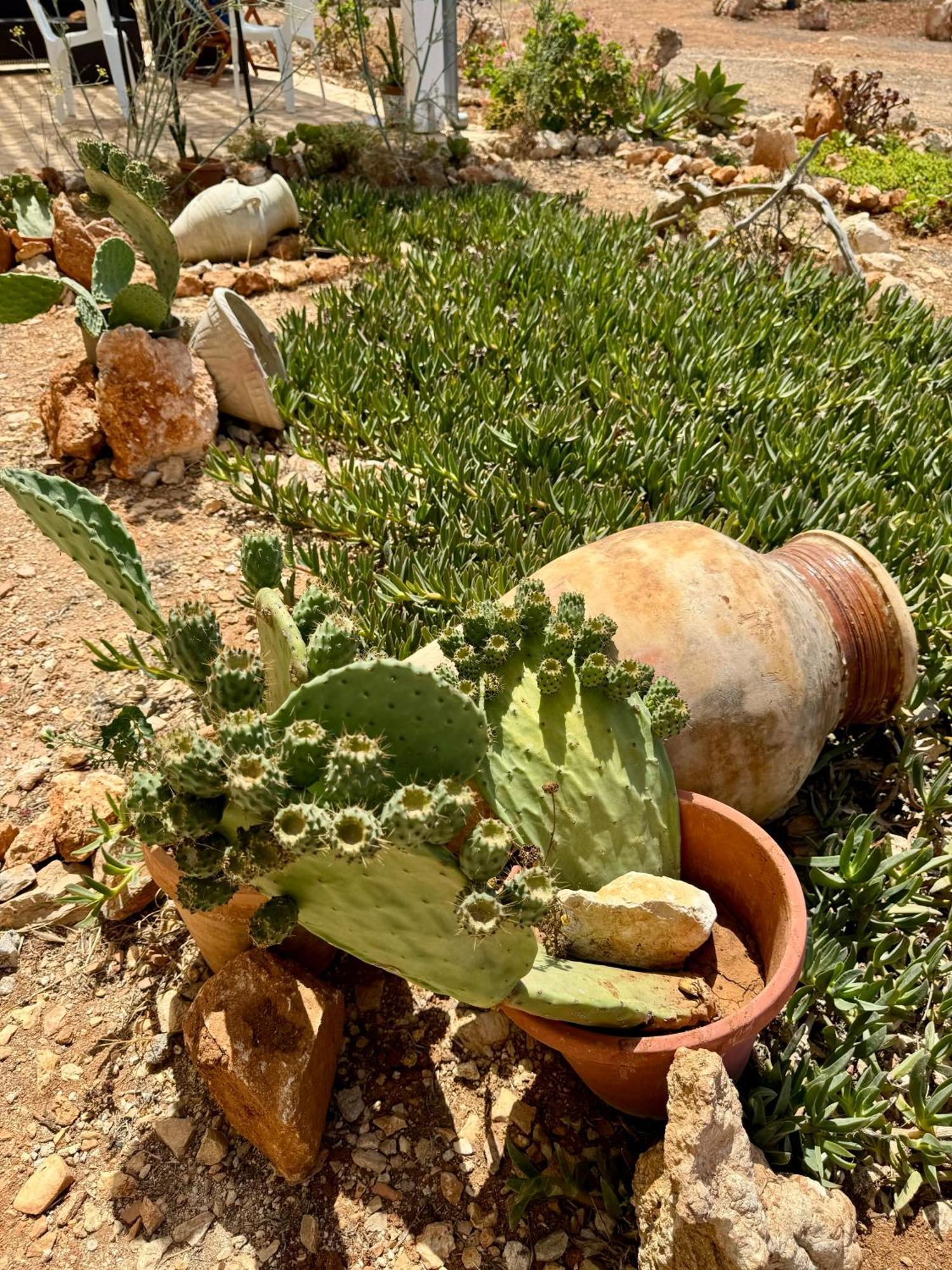 Aria Case Vacanze Favignana Luaran gambar